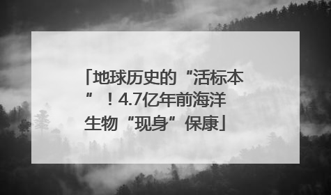 地球历史的“活标本”！4.7亿年前海洋生物“现身”保康
